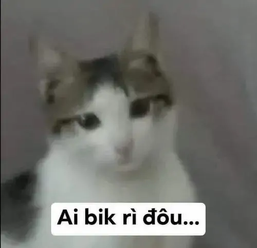 156 155