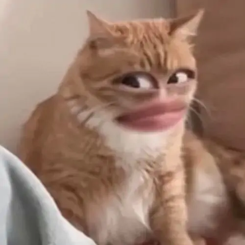 132 131