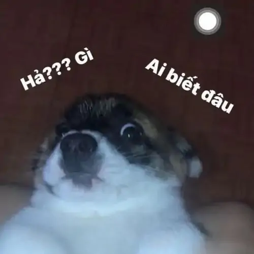138 137