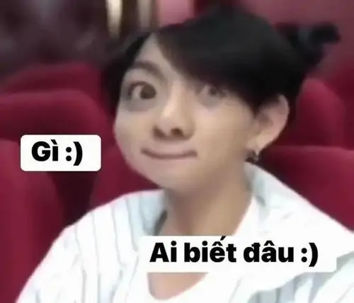 117 Ảnh Ai Biết Gì Đâu Meme Dùng Khi Bạn Muốn Né Tránh Chất Vấn