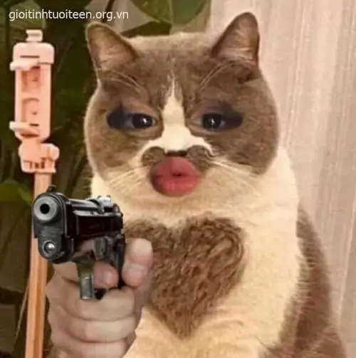 127 126