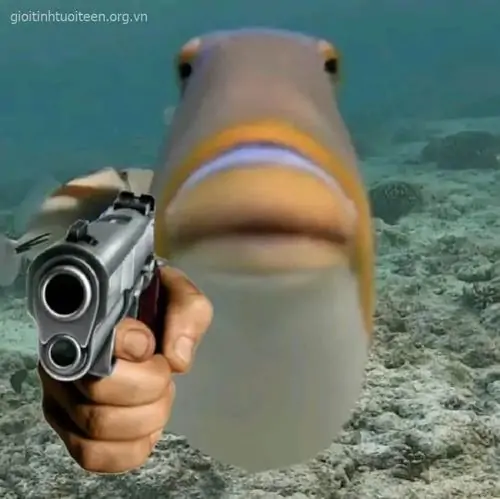 125 124