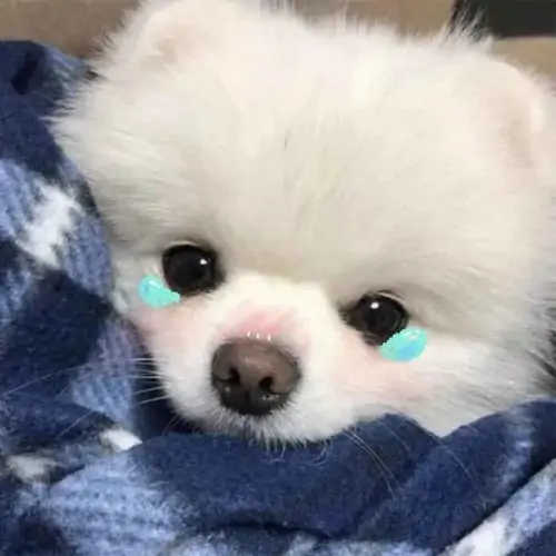 42 41