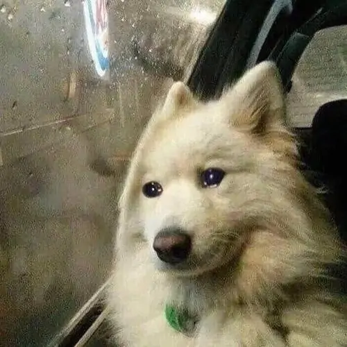55 54