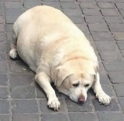 46 45