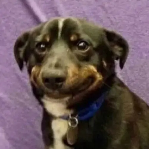 34 33