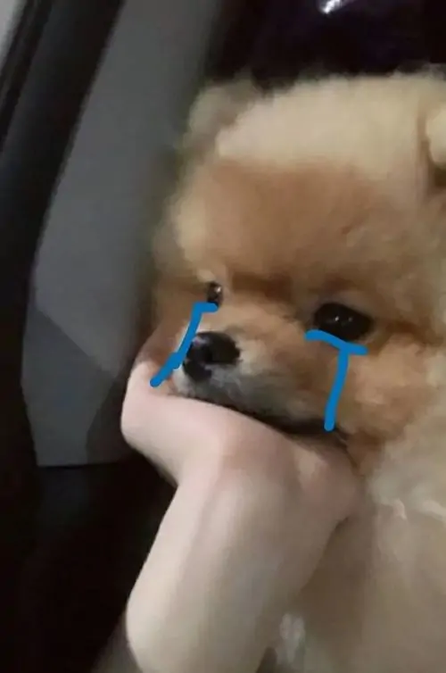 30 29