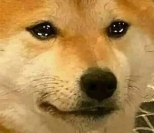 24 23