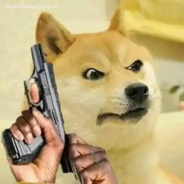 38 37