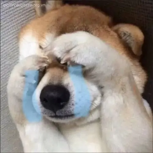 26 25