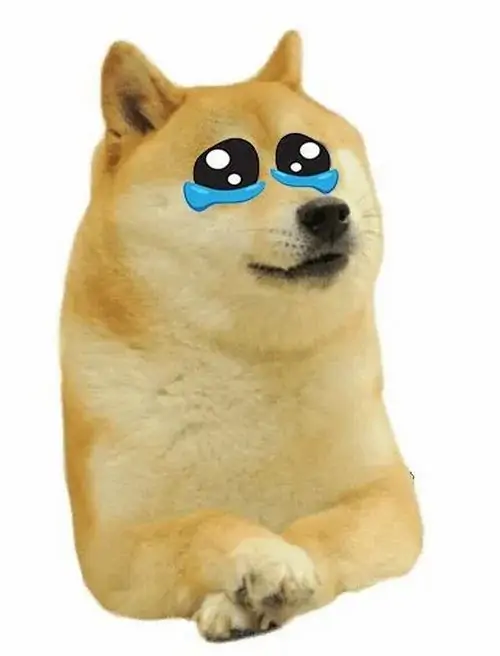 35 Ảnh Meme Chó Khóc Giúp Bạn Than Mệt Mà Vẫn Hài Hước