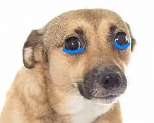 31 30