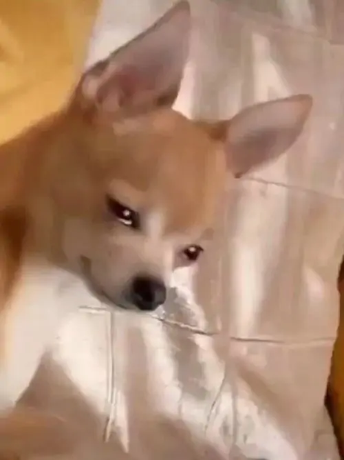 37 36