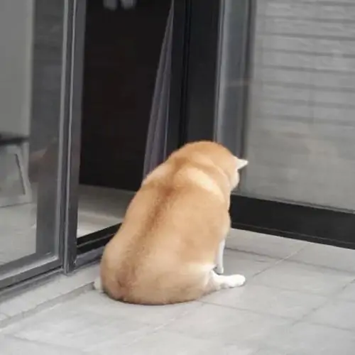 45 44
