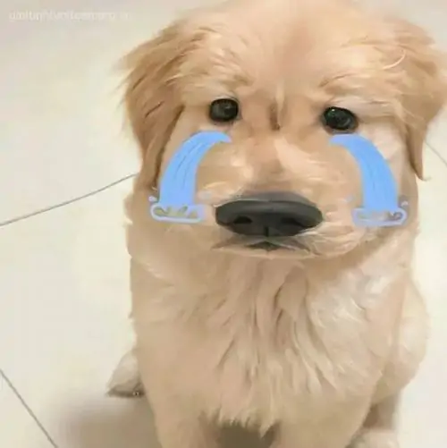 47 46