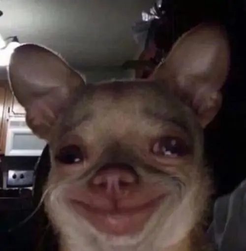 51 50