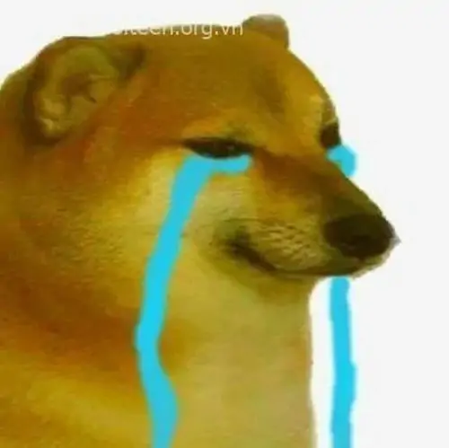 53 52