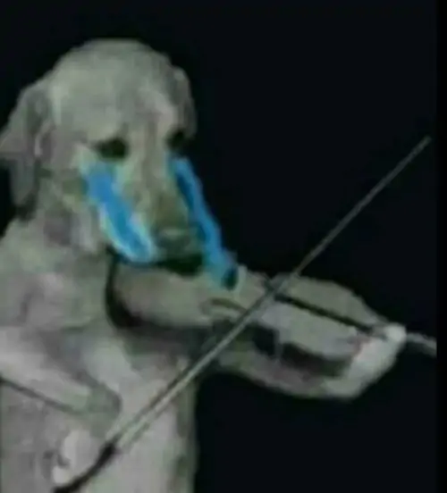 57 56