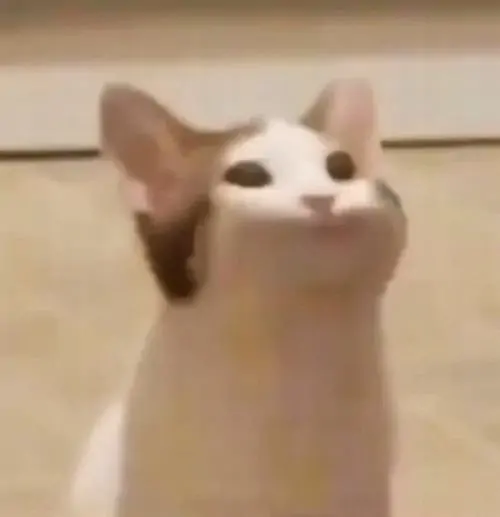 167 166