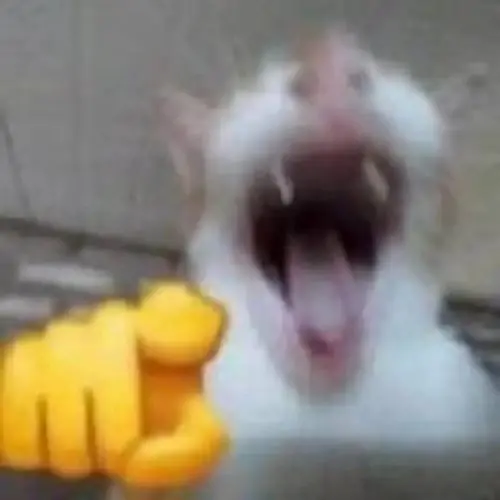 165 164