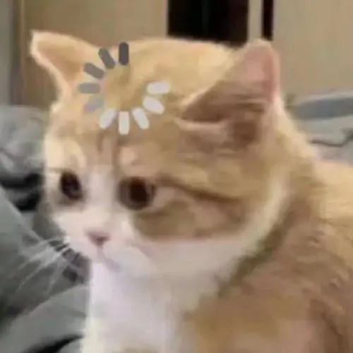 147 146