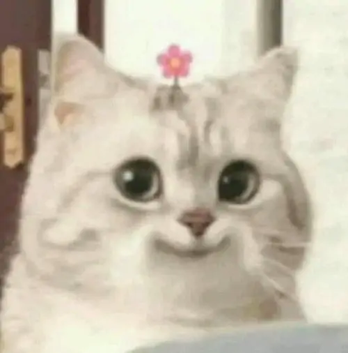 149 148