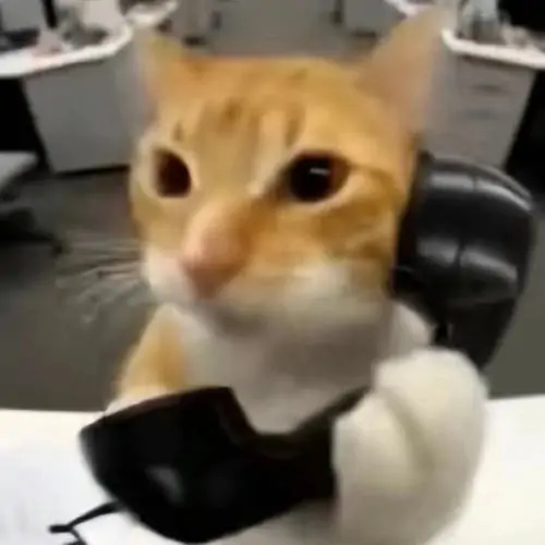 151 150