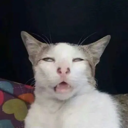 153 152