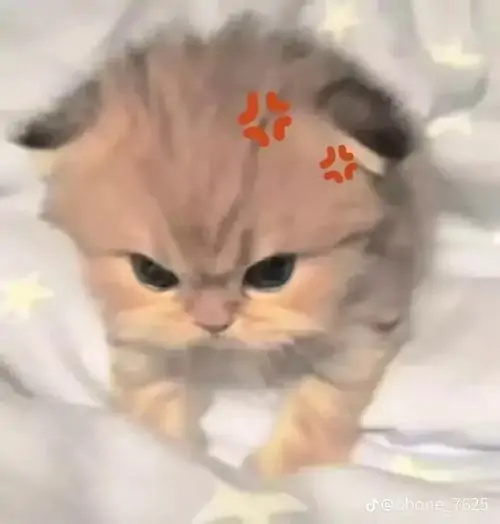 155 154