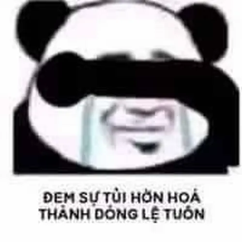77 76