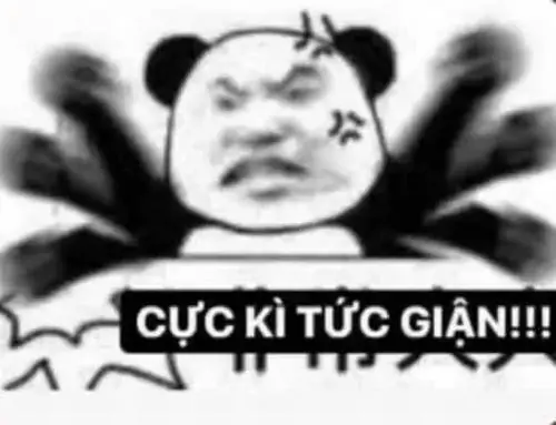 17 Ảnh Meme Gấu Trúc Tức Giận Cau Có Nhăn Mặt Cho Mọi Pha Cạn Lời