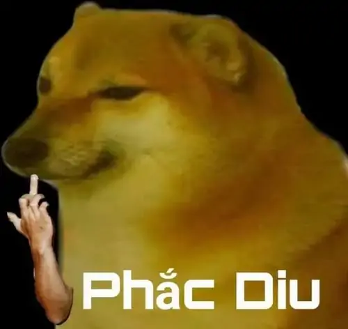 249 248