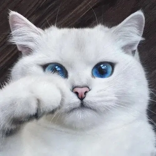 20 19