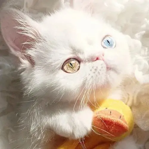 24 23