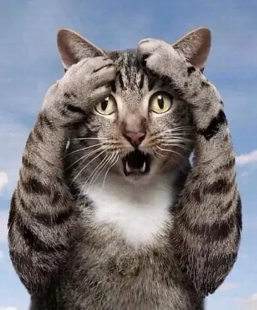 54 53