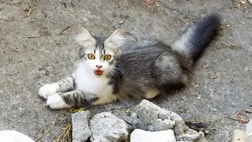 75 74