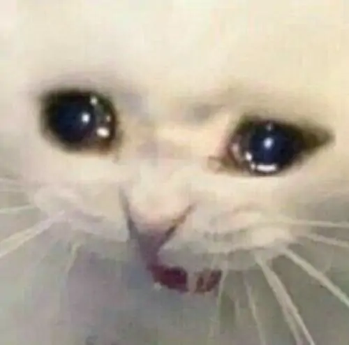 108 107