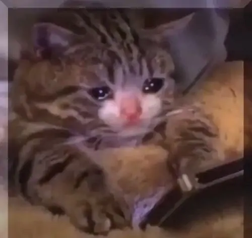 92 91