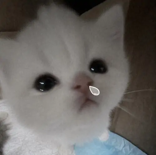 96 95