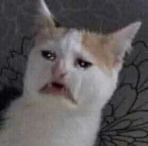 100 99
