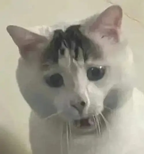 77 76