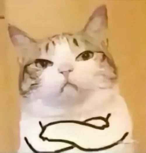 95 94