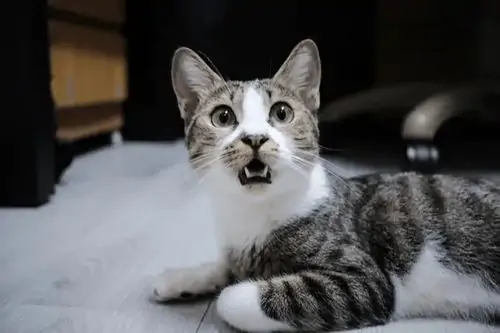 79 78