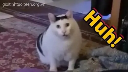83 82