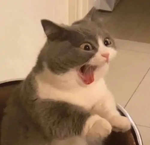 85 84