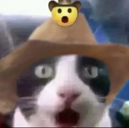 87 86