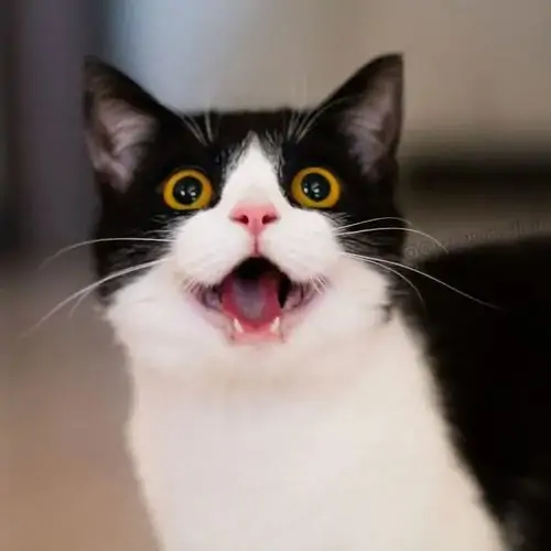 91 90