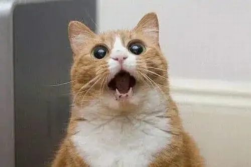 93 92