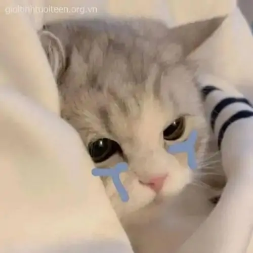 79 78
