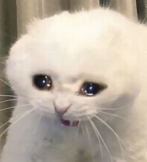 74 73